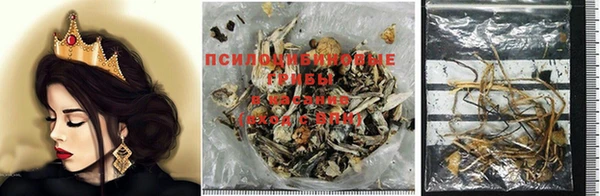 дживик Кинешма