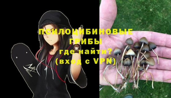 стаф Армянск