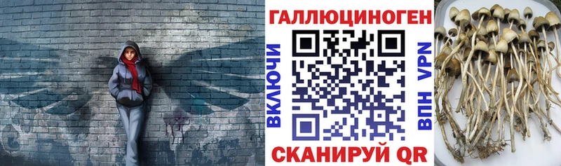 Псилоцибиновые грибы мухоморы цена Пугачёв